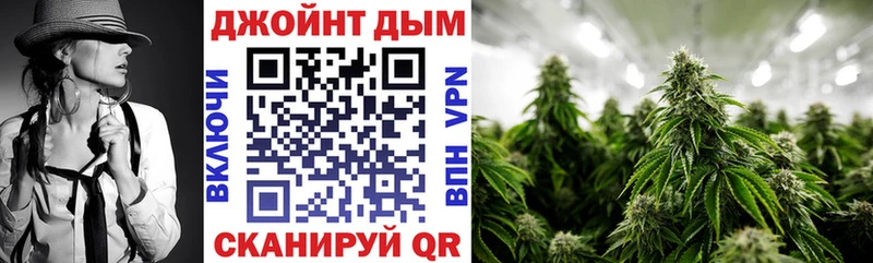 Где купить наркоту Сунжа Гашиш  Кетамин  A PVP  Меф  Бошки Шишки 