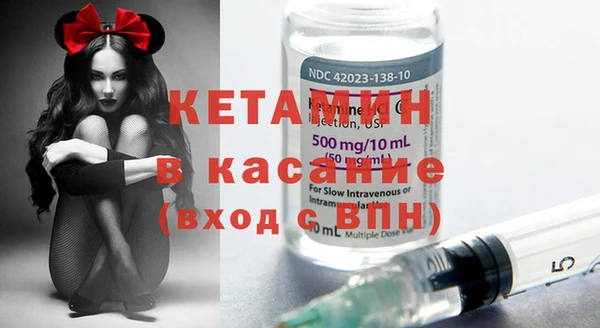 шишки Армянск
