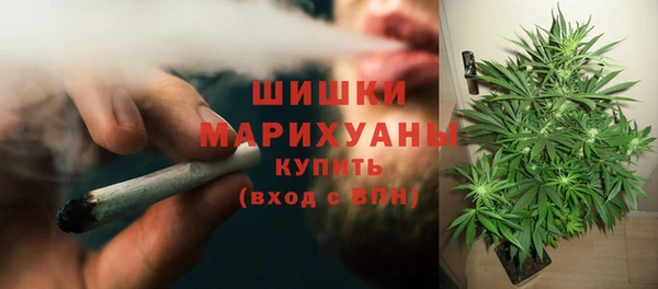 шишки Армянск