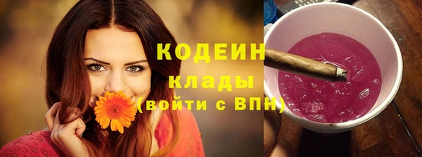 шишки Армянск