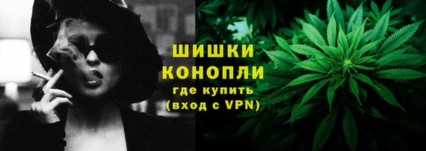 шишки Армянск