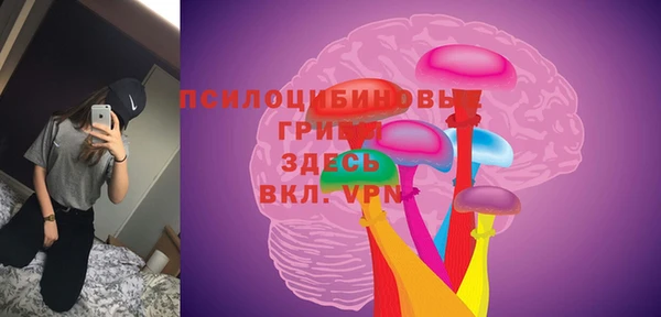 шишки Арсеньев