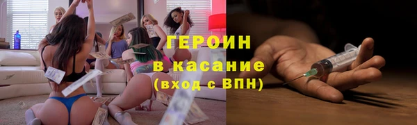шишки Арсеньев