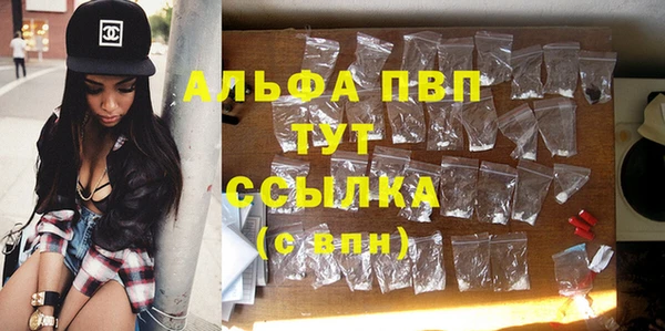 шишки Арсеньев