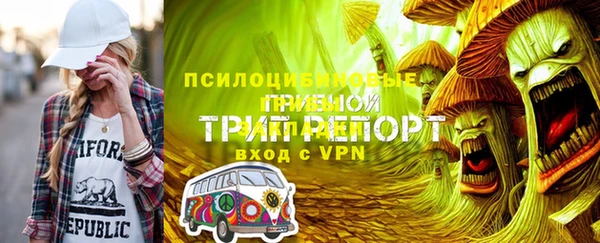дживик Аркадак