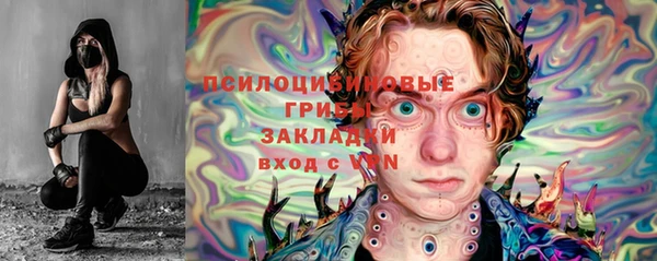 шишки Арсеньев