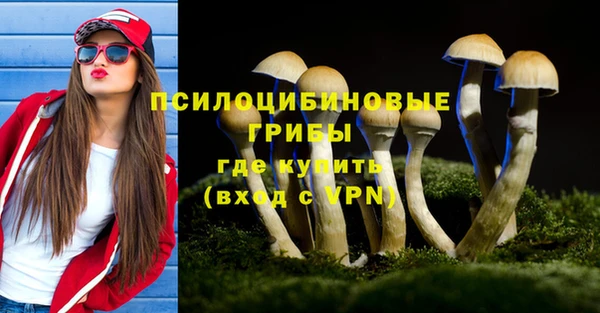 шишки Армянск