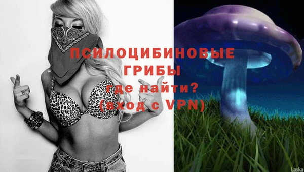 шишки Арсеньев