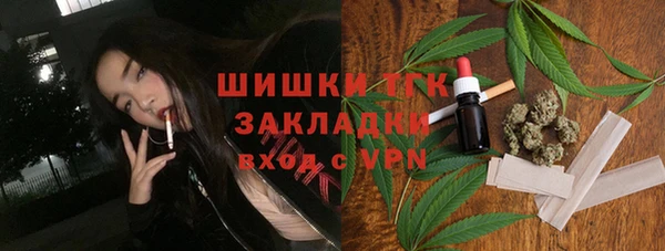 шишки Армянск