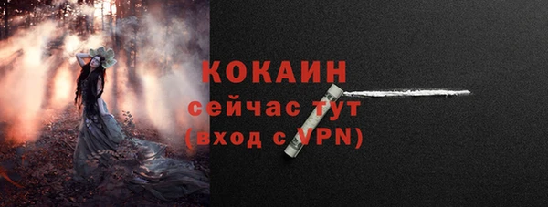 шишки Арсеньев