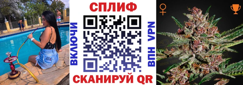 Каннабис MAZAR  купить   мориарти Telegram  Сунжа  mega вход 